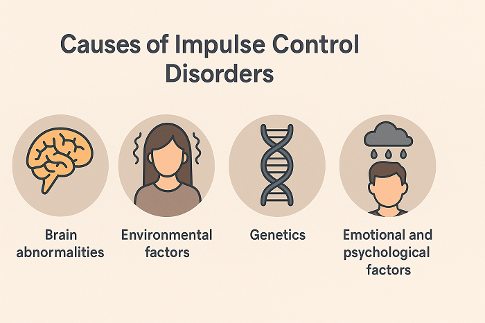 Causes of Impulse Control Disorders